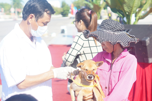 Rabies prevention efforts in Viet Nam: targeting rabies elimination in Viet Nam by 2020